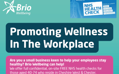 BRIO: Promoting Wellness in the Workplace